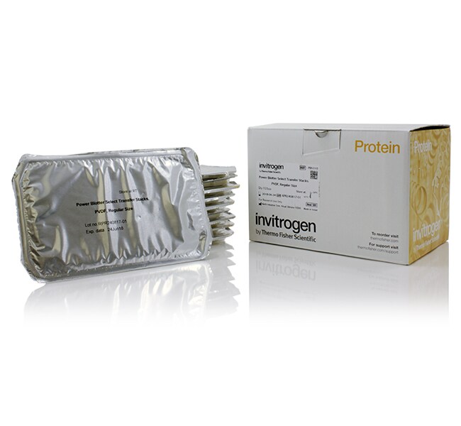 Power Blotter Select Transfer Stacks, PVDF, regular size