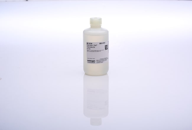 Power Blotter 1-Step&trade; Transfer Buffer (5X)