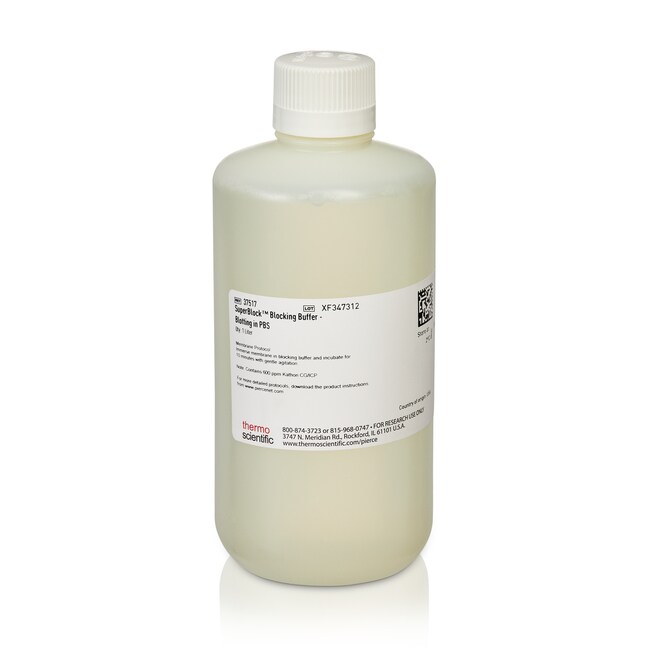 SuperBlock&trade; 印迹封闭缓冲液