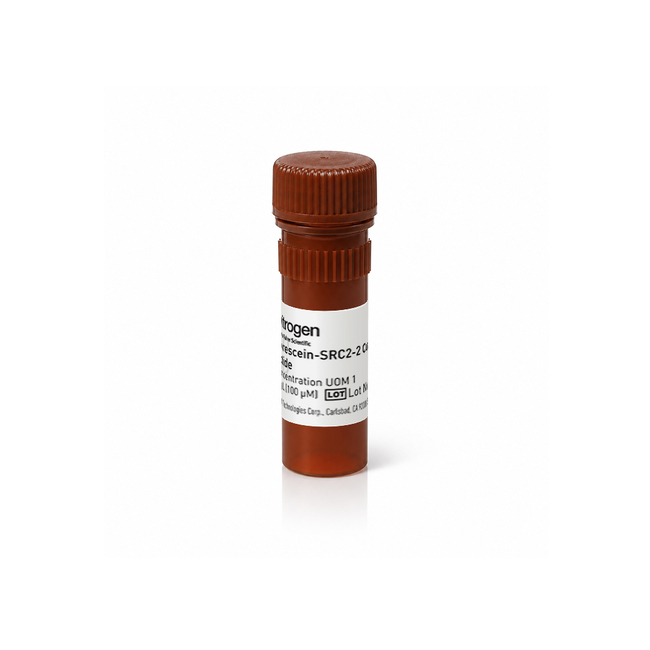 FL - SRC 2-2 Peptide, 100μM