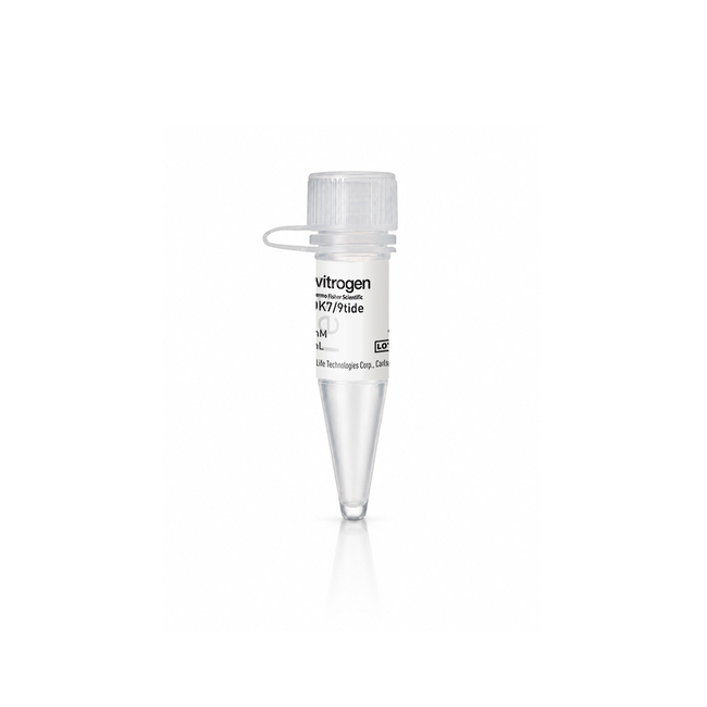 CDK7/9tide Substrate