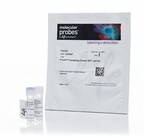 含传感器 LC3B、p62 或串联传感器 RFP-GFP-LC3B 的 Premo 自噬检测试剂盒