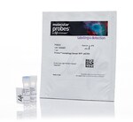 含传感器 LC3B、p62 或串联传感器 RFP-GFP-LC3B 的 Premo 自噬检测试剂盒