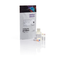 Qubit™ dsDNA Quantification Assay Kits
