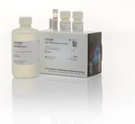 Qubit&trade; dsDNA Quantification Assay Kits