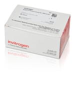 Quant-iT&trade; 蛋白检测试剂盒