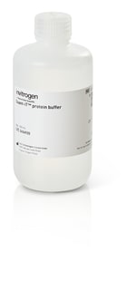 Quant-iT&trade; 蛋白检测试剂盒