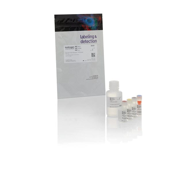 Qubit™ Protein and Protein Broad Range (BR) Assay Kits