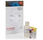 Qubit&trade; RNA High Sensitivity (HS), Broad Range (BR), and Extended Range (XR) Assay Kits