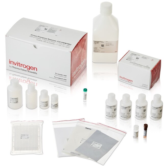 QuantiGene&trade; Plex 384-well Assay Kit