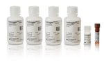 QuantiGene&trade; Plex 384-well Assay Kit