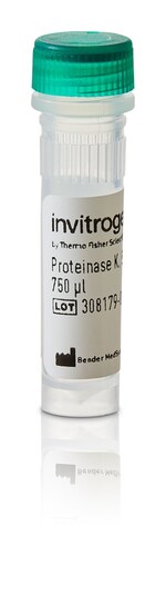 蛋白酶 K (50 &mu;g/&mu;L)