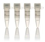 dNTP Set, 100 mM Solutions