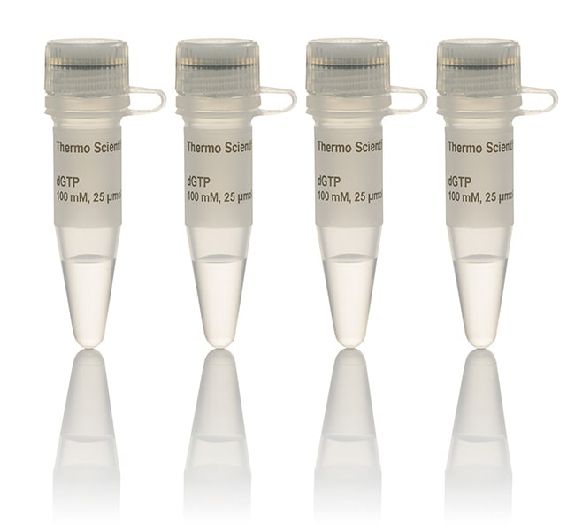 dNTP Set, 100 mM Solutions