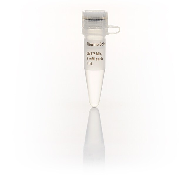 dNTP Mix (2 mM each)