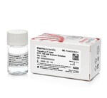 TheraPure&trade; GMP Nucleotides