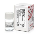 TheraPure&trade; GMP Nucleotides
