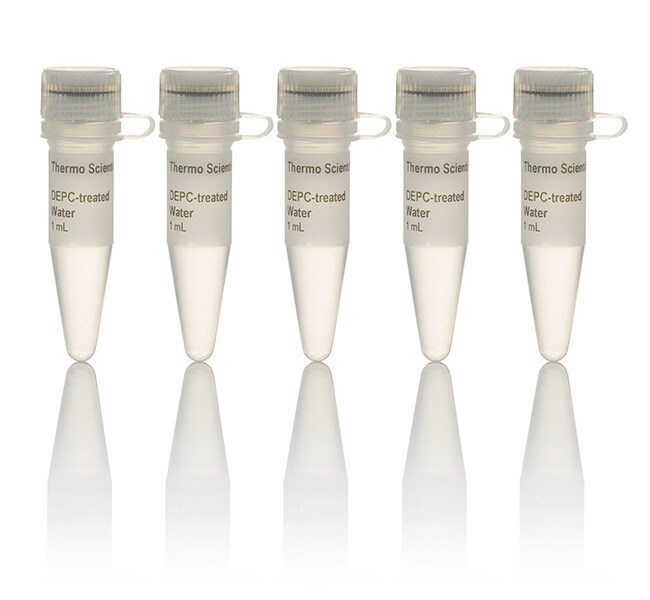 DEPC 处理过的水