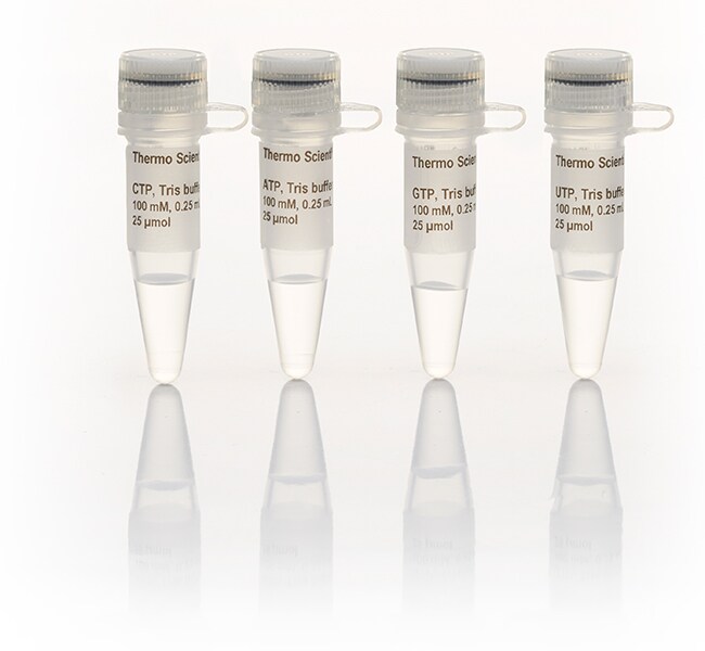 NTP 套装、Tris 缓冲