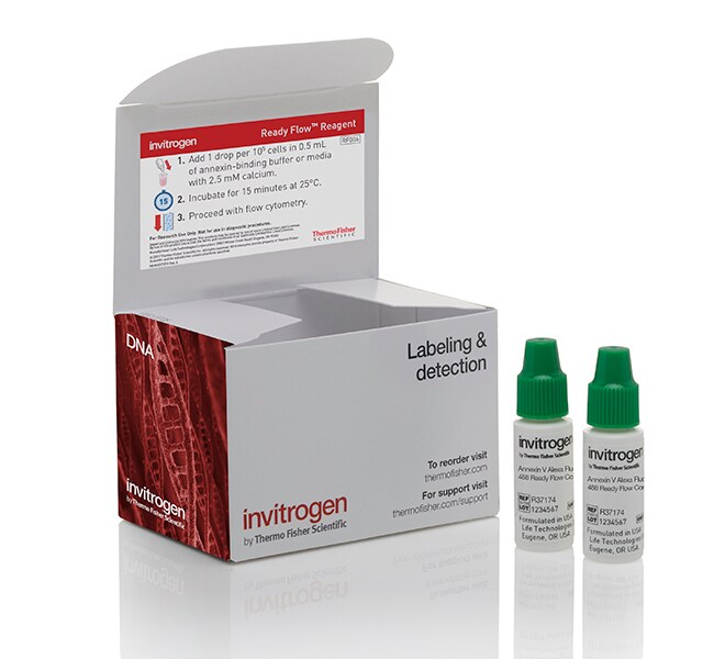用于细胞凋亡检测的 Annexin V Ready Flow 偶联物