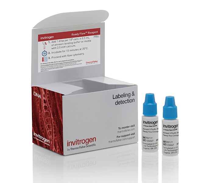 用于细胞凋亡检测的 Annexin V Ready Flow 偶联物