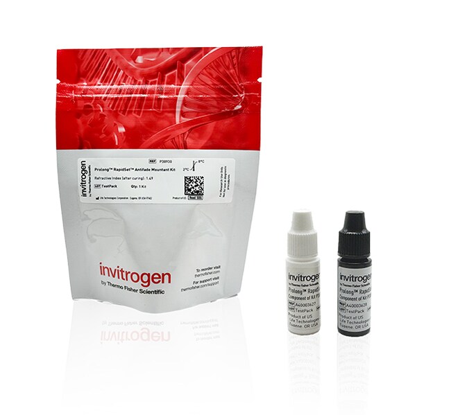 ProLong&trade; RapidSet&trade; Antifade Mountant
