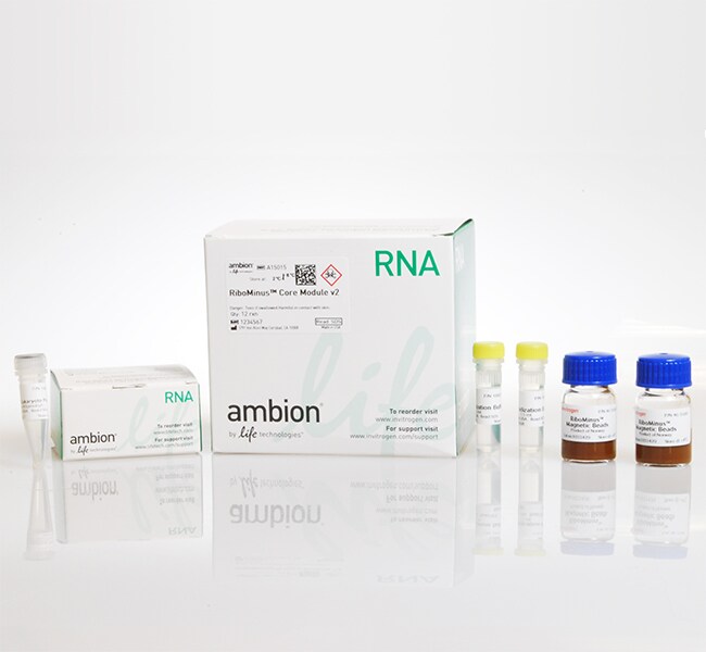 RiboMinus™ 真核细胞试剂盒 v2