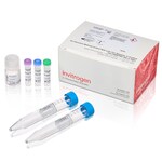 SiteClick&trade; Duet and Quartet Antibody Labeling Kits