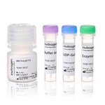 SiteClick&trade; Duet and Quartet Antibody Labeling Kits