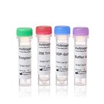 SiteClick&trade; Duet and Quartet Antibody Labeling Kits