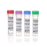 SiteClick&trade; Duet and Quartet Antibody Labeling Kits