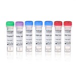 SiteClick&trade; Duet and Quartet Antibody Labeling Kits