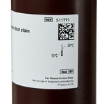 SYPRO&trade; Ruby 蛋白质印迹染色