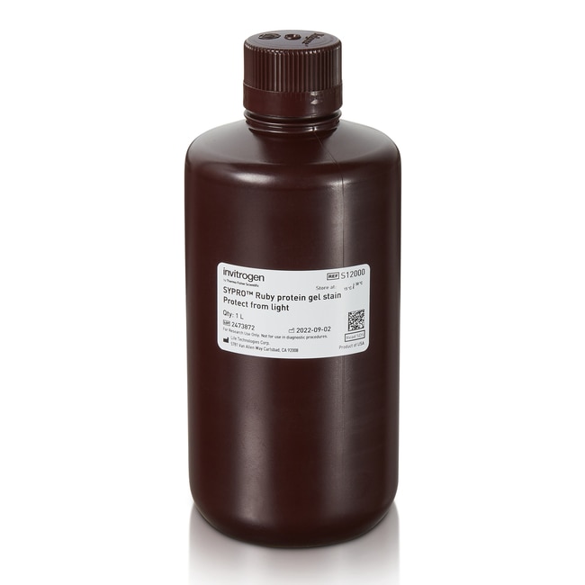 SYPRO&trade; Ruby 蛋白凝胶染色剂