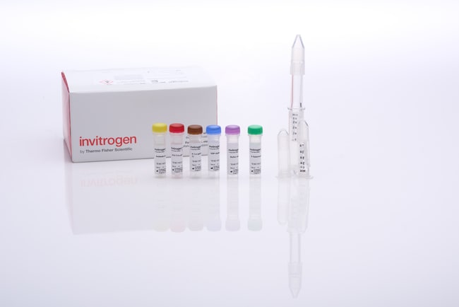 SiteClick™ 抗体叠氮基修饰试剂盒