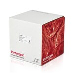 SYPRO&trade; Ruby 蛋白凝胶染色剂