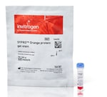 SYPRO&trade; Ruby 蛋白凝胶染色剂