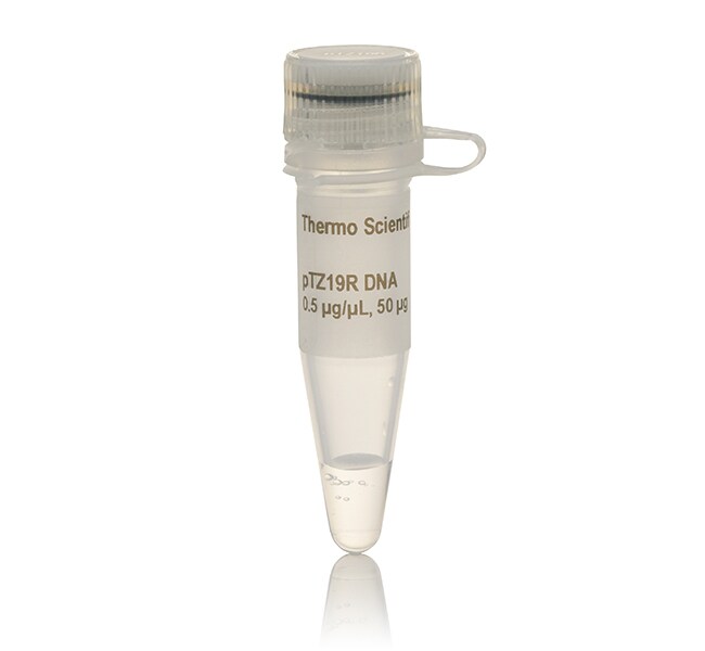 pTZ19R DNA