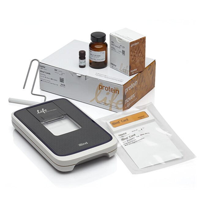 iBind&trade; Western Starter 试剂盒