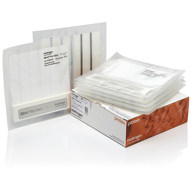 iBind&trade; Flex 卡