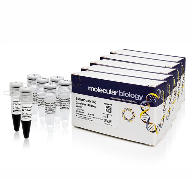 GeneRuler 1 kb DNA Ladder