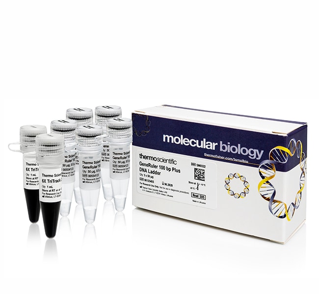 GeneRuler 100 bp Plus DNA Ladder