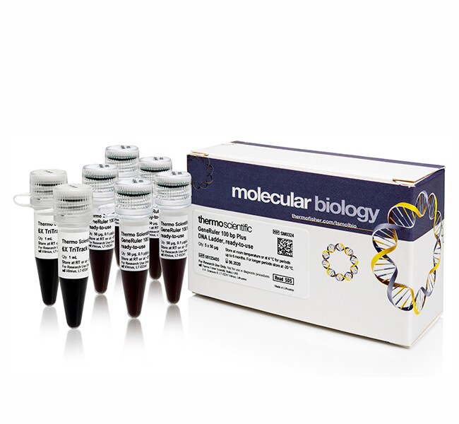 GeneRuler Ready-to-Use DNA Ladders