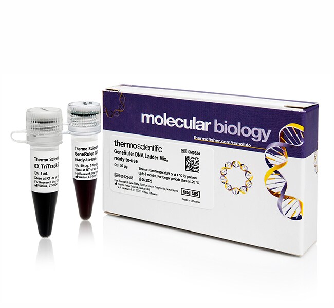 GeneRuler 100 bp DNA 分子量标准，即用型