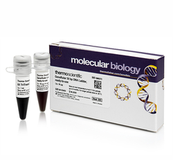 GeneRuler 100 bp DNA 分子量标准,即用型