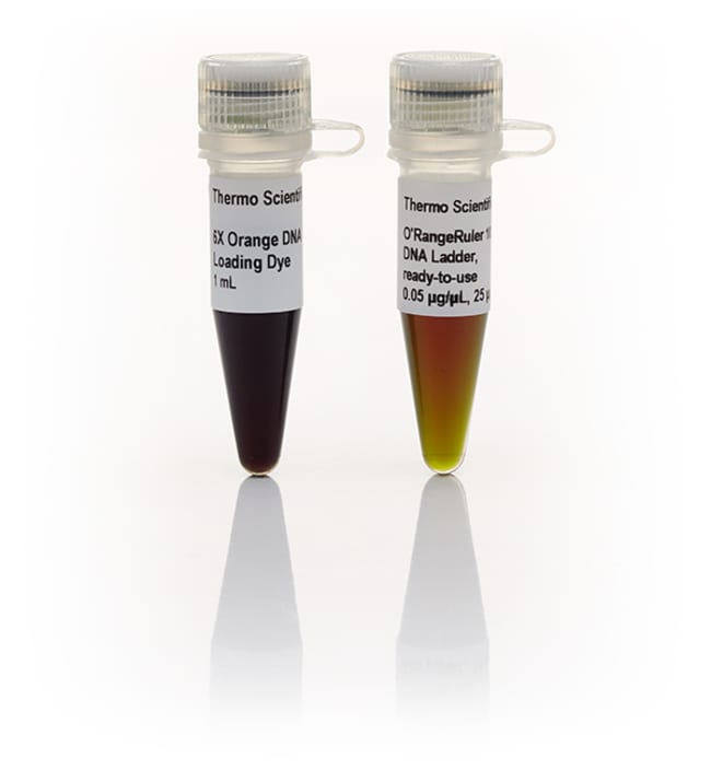 O'RangeRuler DNA Ladders, ready-to-use