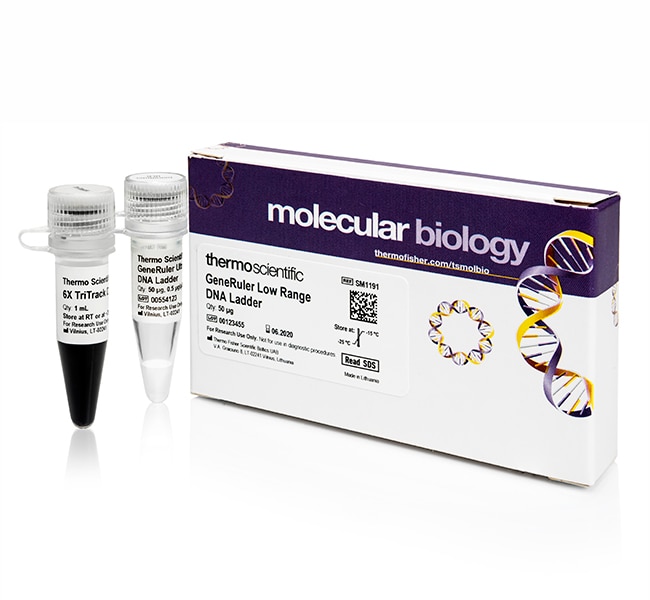 GeneRuler Low Range DNA Ladder