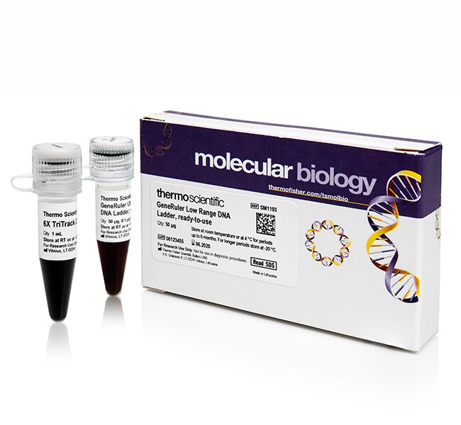 GeneRuler Ready-to-Use DNA Ladders