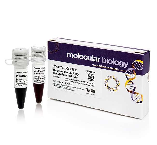 GeneRuler 100 bp DNA 分子量标准,即用型