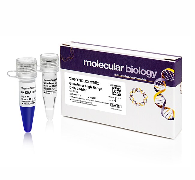 GeneRuler High Range DNA Ladder